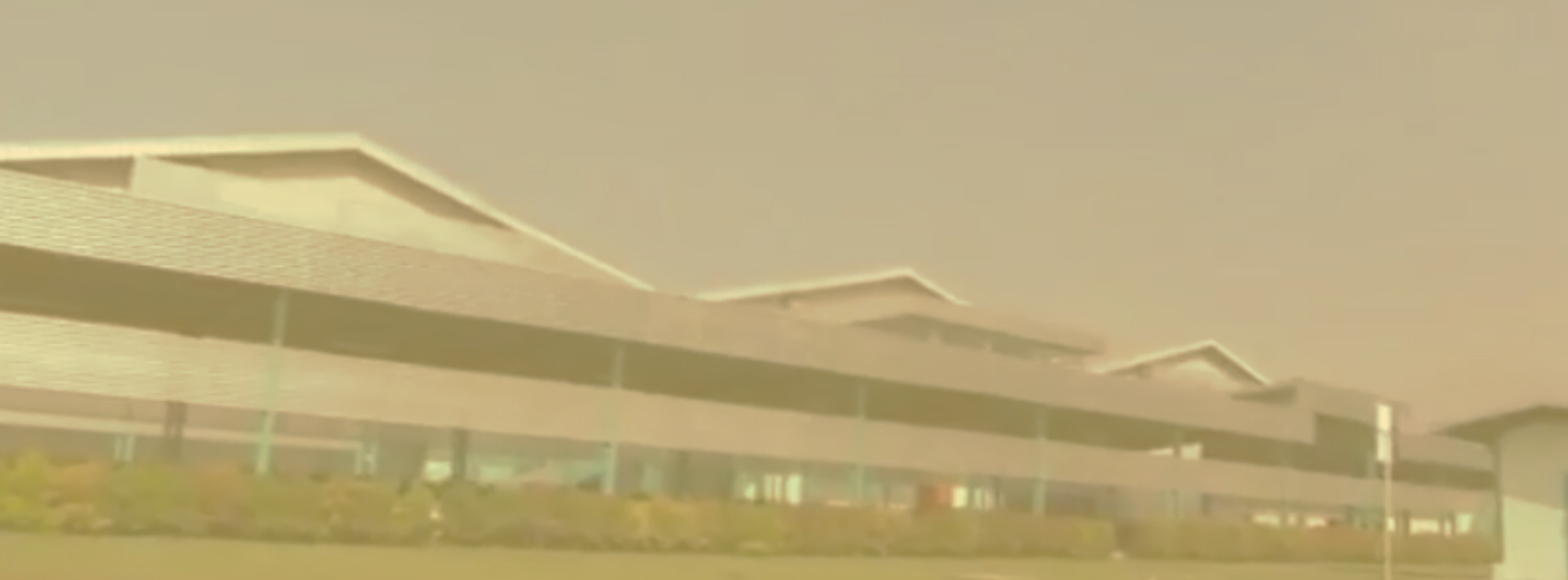 Office workers collaborating